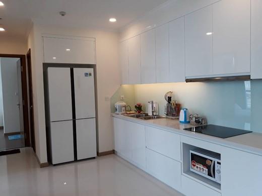 apartment for rent in Binh Thanh District BT105L5558 BT105L2374 (2)